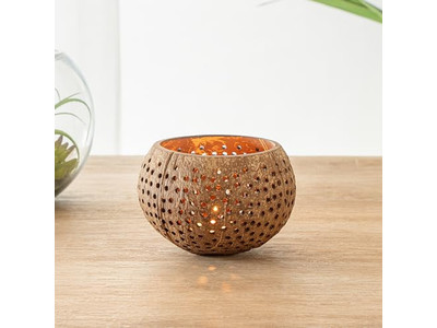 Кокосовая чаша Бесплатная доставка Белая лакированная натуральная Джамбо Полированные наборы