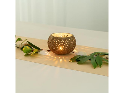 Кокосовая чаша Бесплатная доставка Белая лакированная натуральная Джамбо Полированные наборы