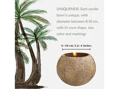 Экологически чистая окрашенная чаша Круглая чаша для пиццы Декоративные салатные чаши Кокос