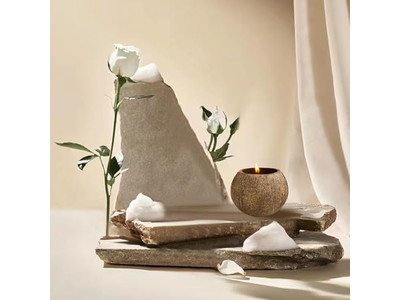 Экологически чистая окрашенная чаша Круглая чаша для пиццы Декоративные салатные чаши Кокос