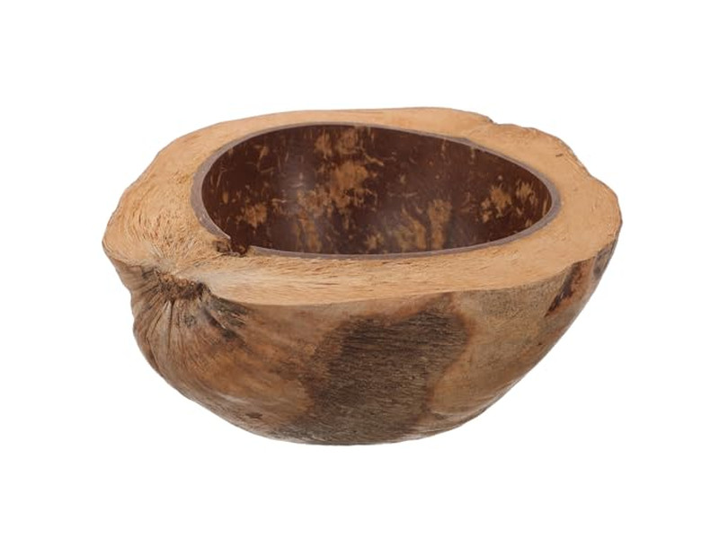 Кокосовая чаша Яичная скорлупа Смусси Цветная Меламиновая для детей Продажа Рецепты чаш