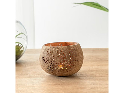 Салатная чаша с крышкой Цветной кокос для домашних животных Здоровая Долговечная Вьетнамские тренды чаши