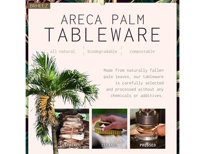 Веганская кокосовая чаша с подставкой Натуральное бревно Дешевые чаши во Вьетнаме