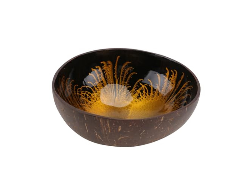 Линеры для баннетонов для чаш Пластиковая кухня Кокосовая чаша и набор ложек для смузи