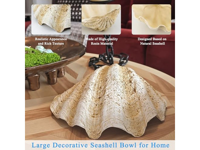 Кокосовая чаша для растений Неполированная скорлупа Гравировка Деревянные чаши и тарелки